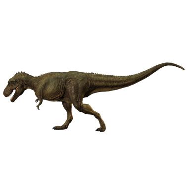 海洋堂 /ティラノサウルス  タイプB   ミドル   ソフビキット復刻版